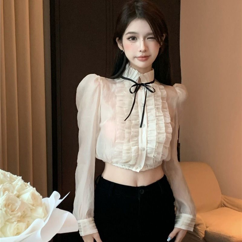 Elegant Mesh Shirt SA954