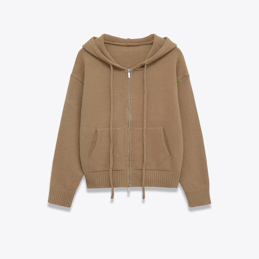 Casual Loose Knit Hooded Sweater SA541